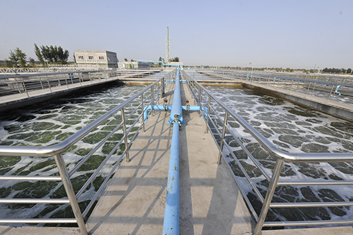 AG庄嫌驻(中国)集团