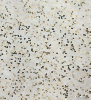 AG庄嫌驻(中国)集团